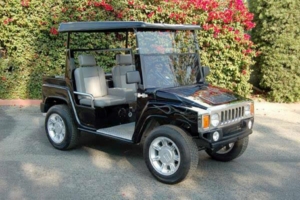 affordable golf cart rental, golf cart rent savannah